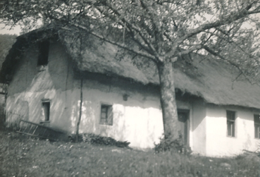 eika image